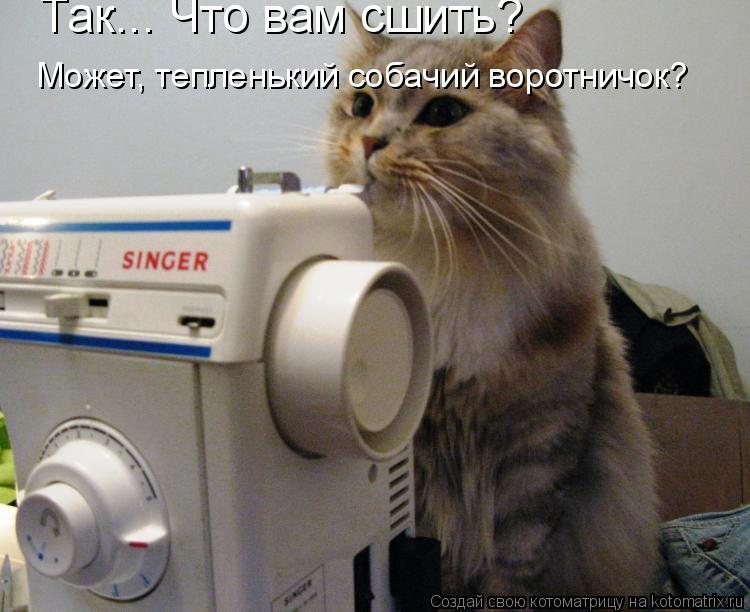 Так... Что вам сшить? Может, тепленький собачий воротничок?... Котоматрица: Так... Что вам сшить? Может, тепленький собачий воротничок?