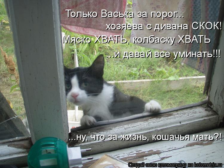 Только Васька за порог... хозяева с дивана СКОК! Мяско ХВАТЬ, колбаску ХВАТЬ ...и давай все уминать!... Котоматрица: Только Васька за порог... хозяева с дивана СКОК! Мяско ХВАТЬ, колбаску ХВАТЬ ...и давай все уминать!!! ...ну, что за жизнь, кошачья мать?!