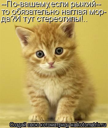 --По-вашему,если рыжий-- то обязательно наглая мор- да?И тут стереотипы!..... Котоматрица: --По-вашему,если рыжий-- то обязательно наглая мор- да?И тут стереотипы!..