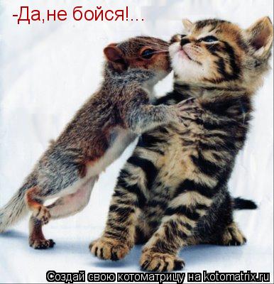 Котоматрица: -Да,не бойся!...