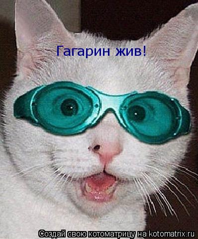 Гагарин жив!... Котоматрица: Гагарин жив!