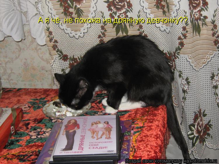 А я чё, не похожа на дрянную девчонку??... Котоматрица: А я чё, не похожа на дрянную девчонку??
