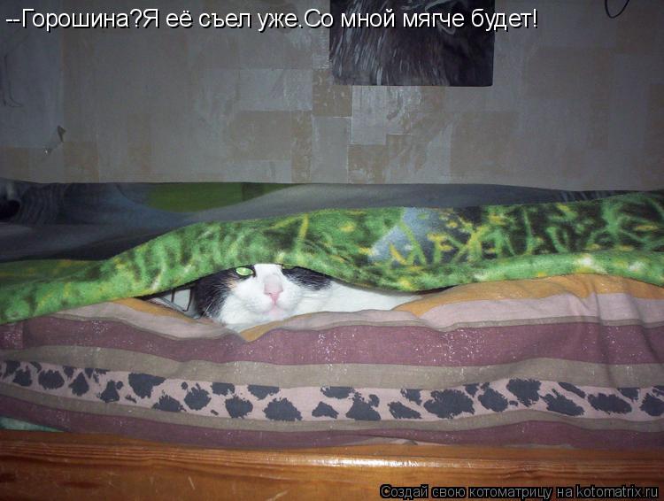 Котоматрица: --Горошина?Я её съел уже.Со мной мягче будет!