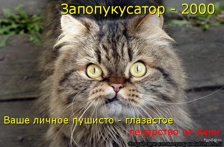 Котоматрица: Запопукусатор - 2000 Ваше личное пушисто - глазастое  лекарство от лени