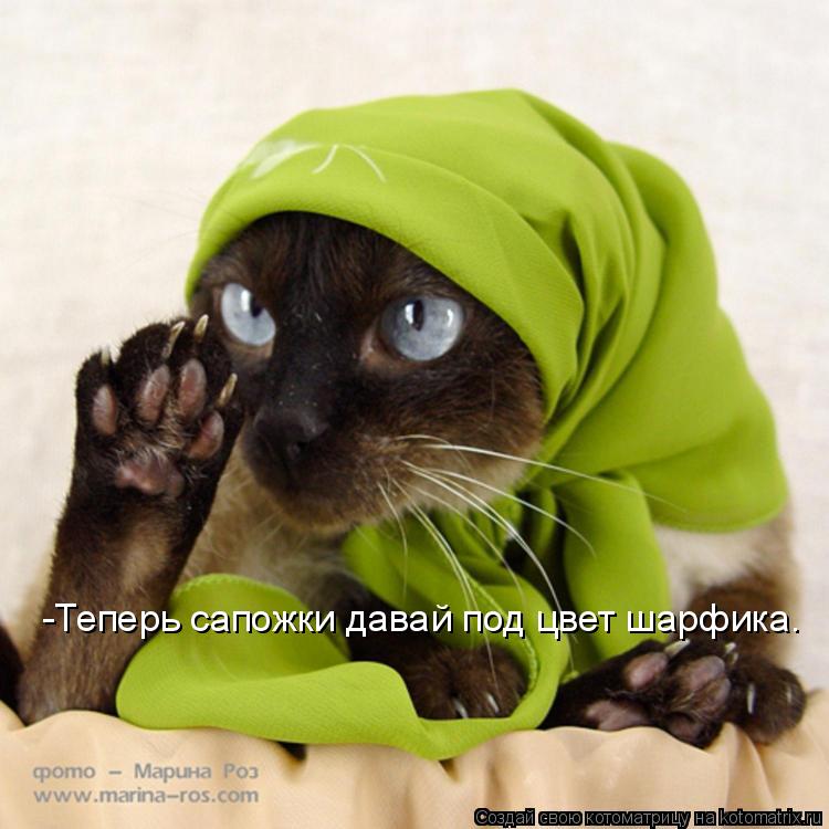 Котоматрица: -Теперь сапожки давай под цвет шарфика.