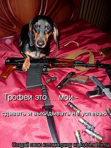 Котоматрица: Трофеи это ... мои - сдавать и выкидывать не успеваю