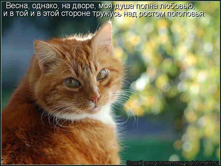 Весна, однако, на дворе, моя душа полна любовью, и в той и в этой стороне тружусь над ростом поголовь... Котоматрица: Весна, однако, на дворе, моя душа полна любовью, и в той и в этой стороне тружусь над ростом поголовья.