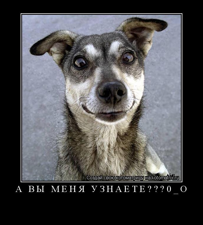 А вы меня узнаЁте???0_о ... Котоматрица: А вы меня узнаЁте???0_о
