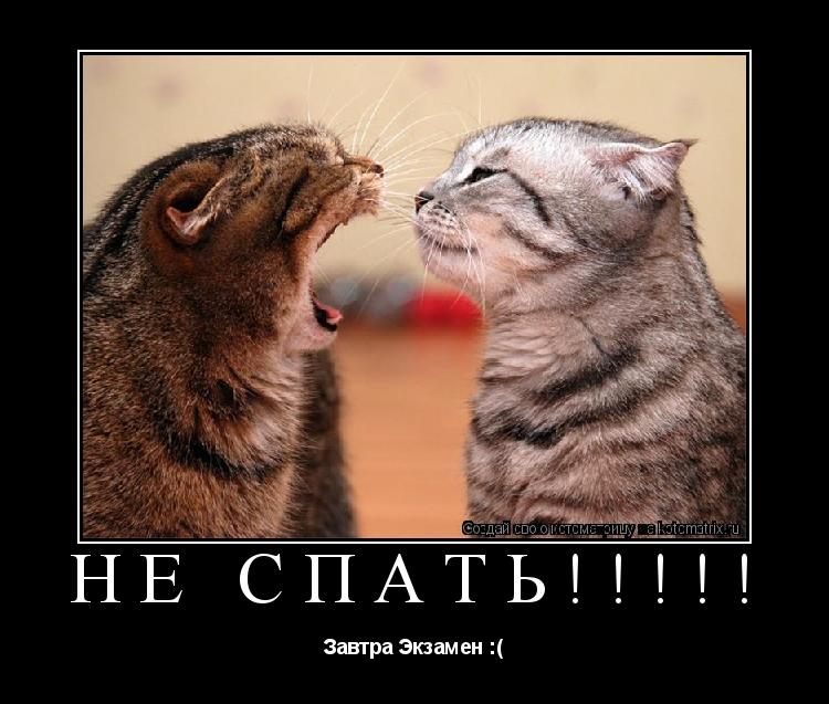 Не спать!!!!! Завтра Экзамен :(... Котоматрица: Не спать!!!!! Завтра Экзамен :(