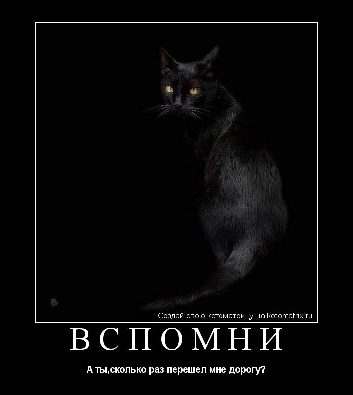 Котоматрица: Вспомни А ты,сколько раз перешел мне дорогу?