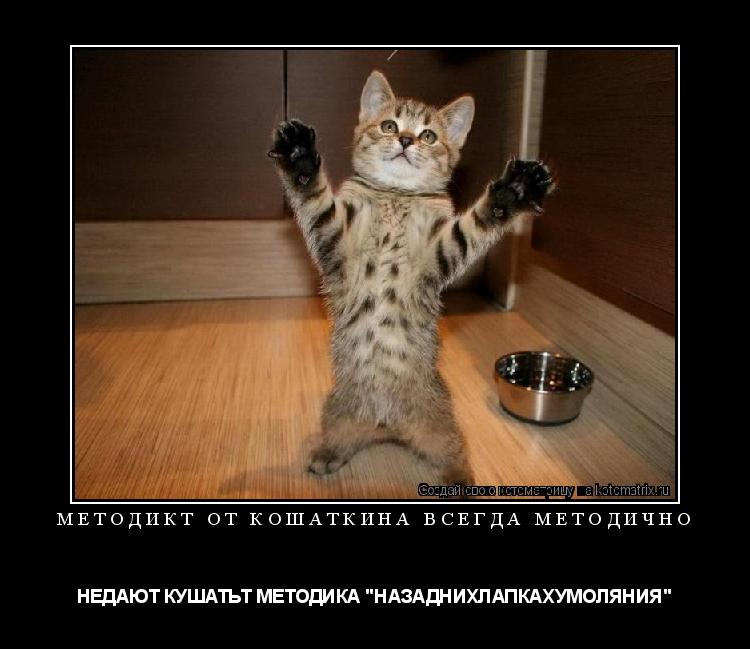 МЕТОДИКТ ОТ КОШАТКИНА ВСЕГДА МЕТОДИЧНО НЕДАЮТ КУШАТЬТ МЕТОДИКА "НАЗАДНИХЛАПКАХУМОЛЯНИЯ"... Котоматрица: МЕТОДИКТ ОТ КОШАТКИНА ВСЕГДА МЕТОДИЧНО НЕДАЮТ КУШАТЬТ МЕТОДИКА "НАЗАДНИХЛАПКАХУМОЛЯНИЯ"