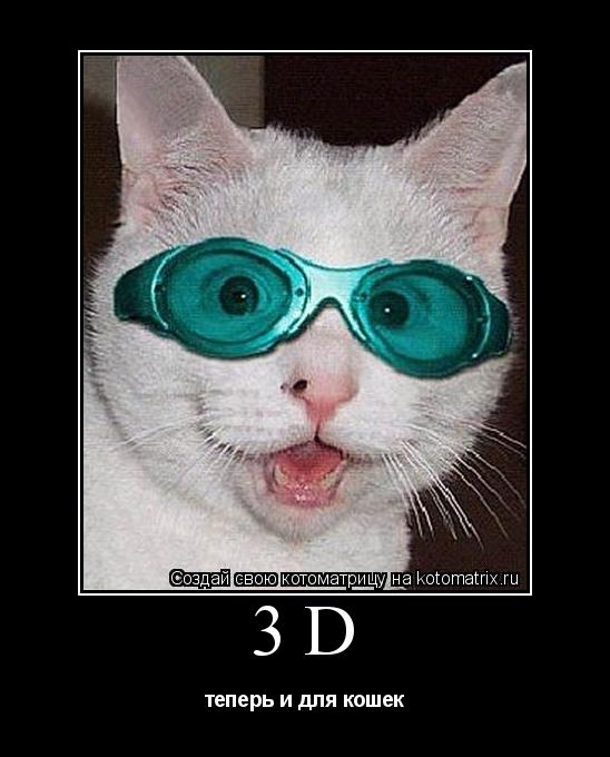 3D теперь и для кошек... Котоматрица: 3D теперь и для кошек