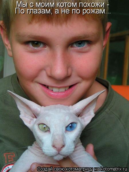 Котоматрица: Мы с моим котом похожи - По глазам, а не по рожам...