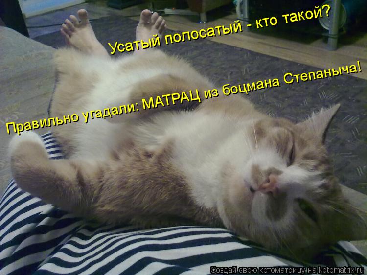 Котоматрица: Усатый полосатый - кто такой? Правильно угадали: МАТРАЦ из боцмана Степаныча!