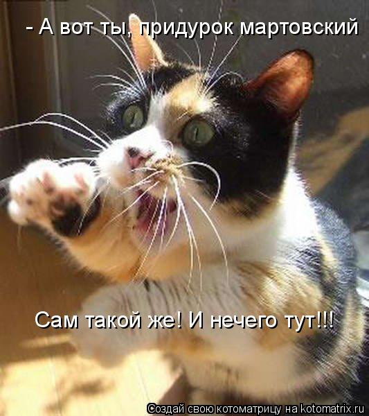Котоматрица: - А вот ты, придурок мартовский Сам такой же! И нечего тут!!!