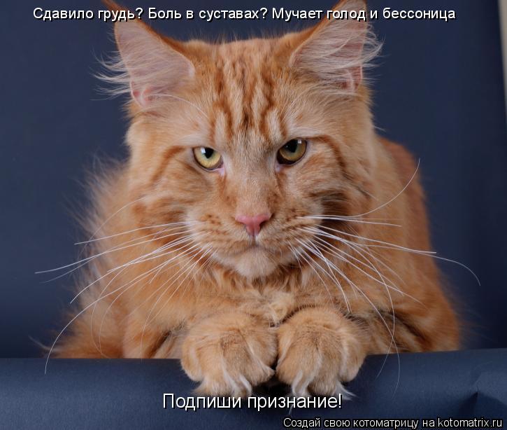 Котоматрица: Сдавило грудь? Боль в суставах? Мучает голод и бессоница Подпиши признание!