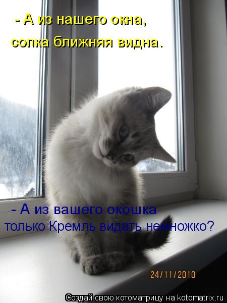 Котоматрица: - А из нашего окна, сопка ближняя видна. - А из вашего окошка только Кремль видать немножко?