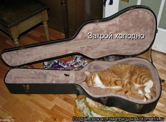 Котоматрица: Закрой холодно