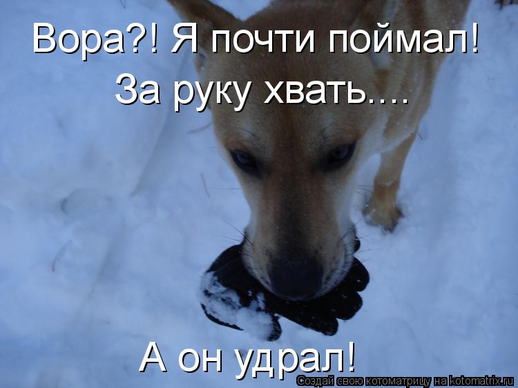 Котоматрица: Вора?! Я почти поймал! За руку хвать.... А он удрал!