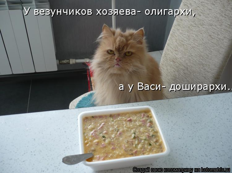 Котоматрица: У везунчиков хозяева- олигархи,   а у Васи- доширархи...