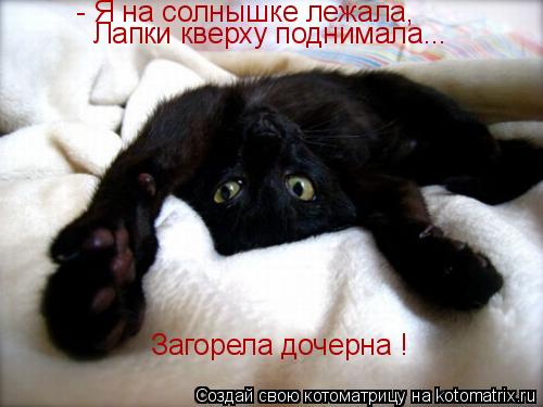 Котоматрица: - Я на солнышке лежала, Лапки кверху поднимала... Загорела дочерна !