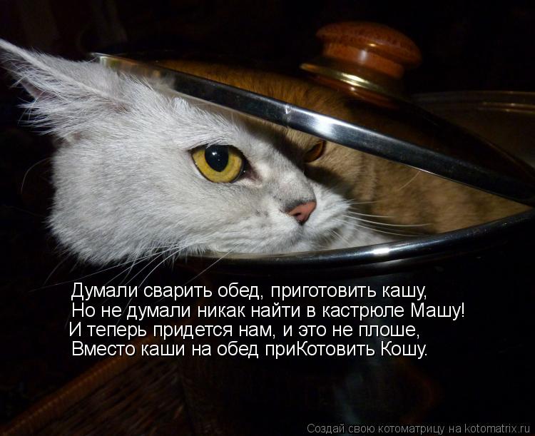 Котоматрица: Думали сварить обед, приготовить кашу, Но не думали никак найти в кастрюле Машу! И теперь придется нам, и это не плоше, Вместо каши на обед пр