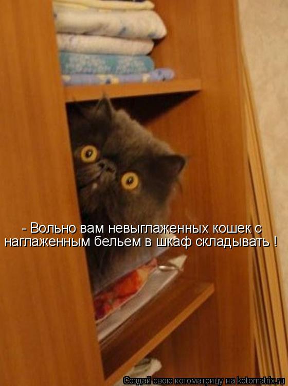 Котоматрица: - Вольно вам невыглаженных кошек с наглаженным бельем в шкаф складывать !