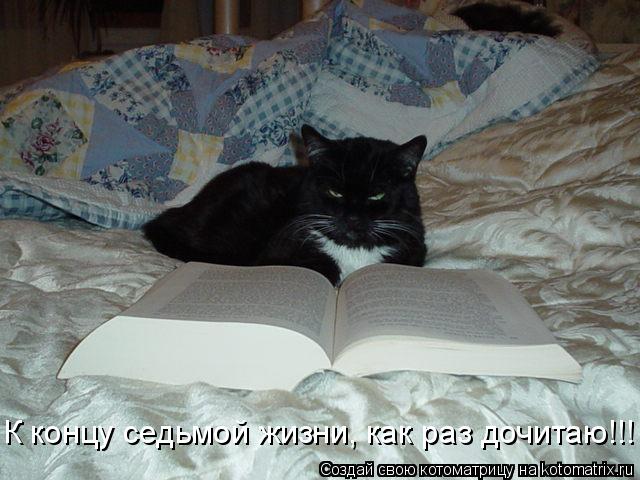 Котоматрица: К концу седьмой жизни, как раз дочитаю!!!