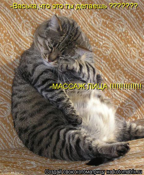 Котоматрица: -Васька,что это ты делаешь ??????? -МАССАЖ ЛИЦА !!!!!!!!!!!!!!