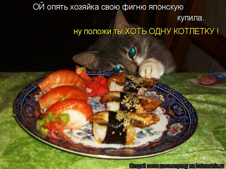 Котоматрица: ОЙ опять хозяйка свою фигню японскую купила ну положи ты ХОТЬ ОДНУ КОТЛЕТКУ ! .