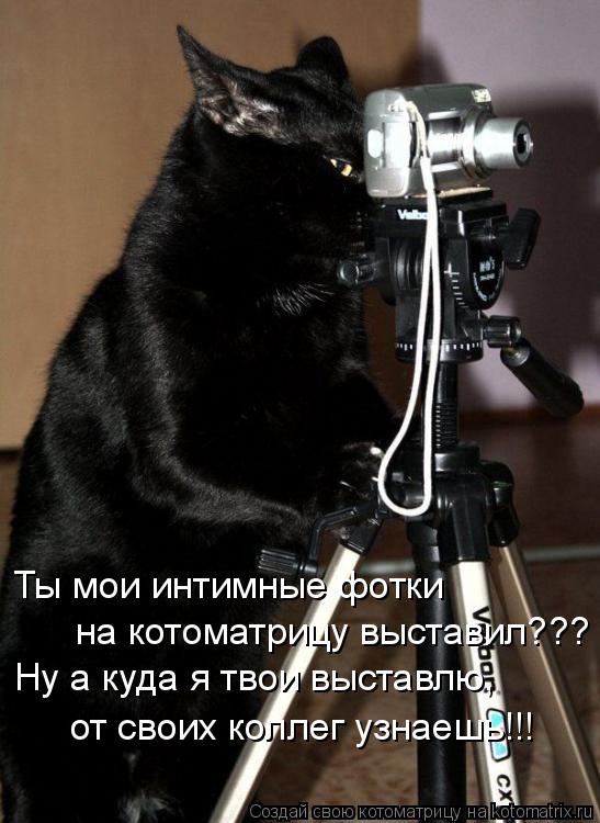 Ты мои интимные фотки на котоматрицу выставил??? Ну а куда я твои выставлю, от своих коллег узнаешь!... Котоматрица: Ты мои интимные фотки на котоматрицу выставил??? Ну а куда я твои выставлю, от своих коллег узнаешь!!!