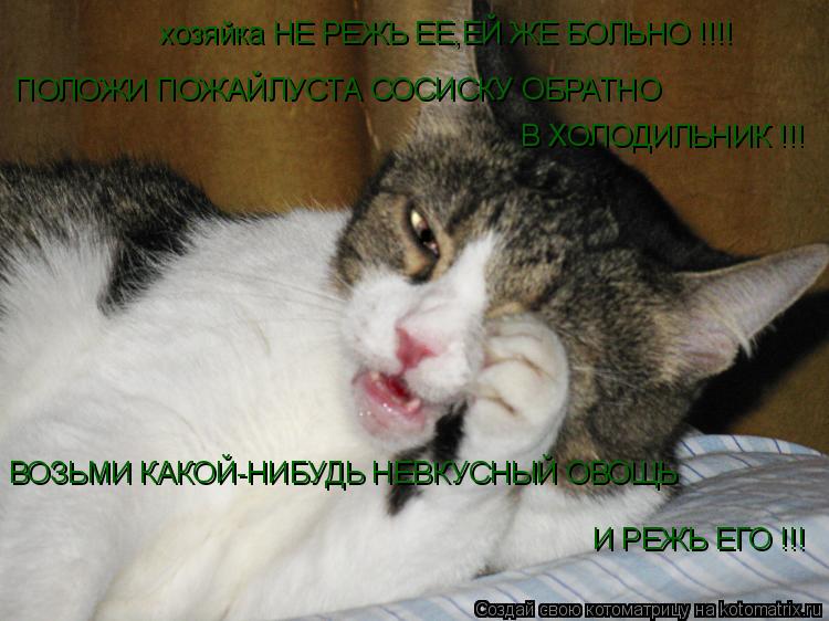 хозяйка НЕ РЕЖЬ ЕЕ,ЕЙ ЖЕ БОЛЬНО !!!! ПОЛОЖИ ПОЖАЙЛУСТА СОСИСКУ ОБРАТНО В ХОЛОДИЛЬНИК !!! ВОЗЬМИ КАКО... Котоматрица: хозяйка НЕ РЕЖЬ ЕЕ,ЕЙ ЖЕ БОЛЬНО !!!! ПОЛОЖИ ПОЖАЙЛУСТА СОСИСКУ ОБРАТНО В ХОЛОДИЛЬНИК !!! ВОЗЬМИ КАКОЙ-НИБУДЬ НЕВКУСНЫЙ ОВОЩЬ И РЕЖЬ ЕГО !!!