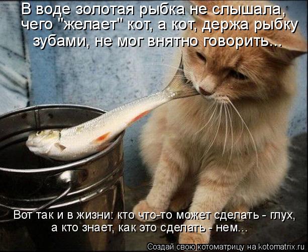 В воде золотая рыбка не слышала, чего "желает" кот, а кот, держа рыбку зубами, не мог внятно говорит... Котоматрица: В воде золотая рыбка не слышала, чего "желает" кот, а кот, держа рыбку зубами, не мог внятно говорить... Вот так и в жизни: кто что-то может сдел