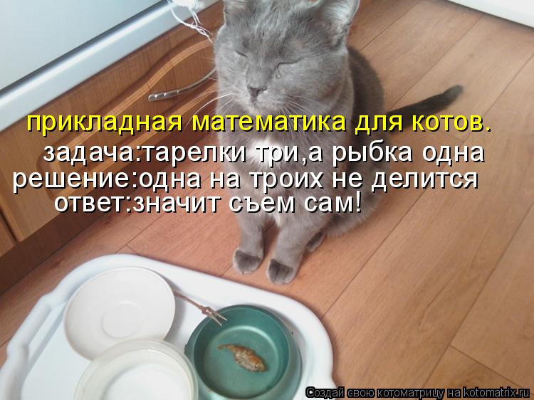 Котоматрица: задача:тарелки три,а рыбка одна решение:одна на троих не делится ответ:значит съем сам! прикладная математика для котов.