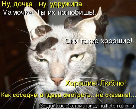 Котоматрица: Мамочка! Ты их полюбишь!... Как соседям в гдаза смотреть...не сказала!... Хорошие! Люблю! Они такие хорошие!... Ну, дочка...ну, удружила...