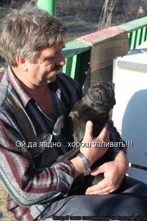 Ой,да ладно...хорош заливать!!!... Котоматрица: Ой,да ладно...хорош заливать!!!