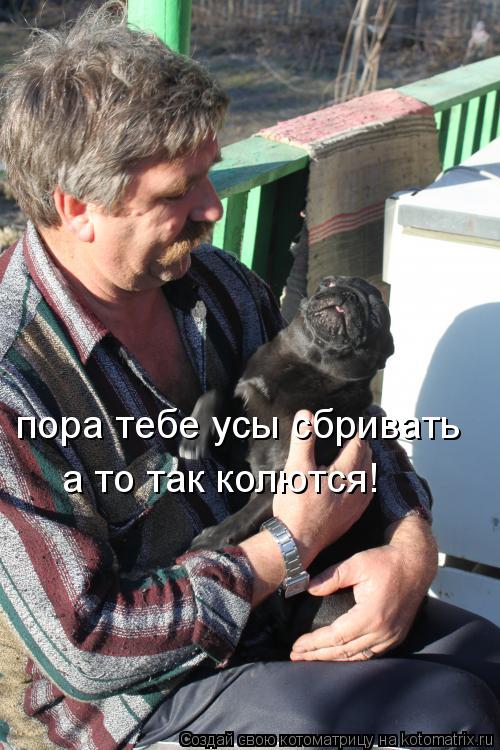 пора тебе усы сбривать а то так колются!... Котоматрица: пора тебе усы сбривать а то так колются!