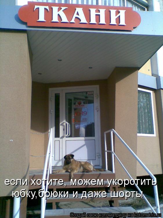 если хотите, можем укоротить юбку,брюки и даже шорты... Котоматрица: если хотите, можем укоротить юбку,брюки и даже шорты