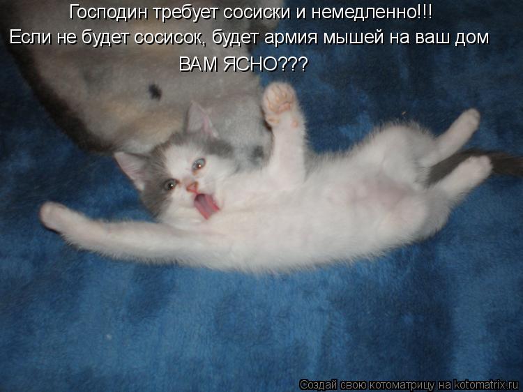Котоматрица: Господин требует сосиски и немедленно!!! Если не будет сосисок, будет армия мышей на ваш дом ВАМ ЯСНО???