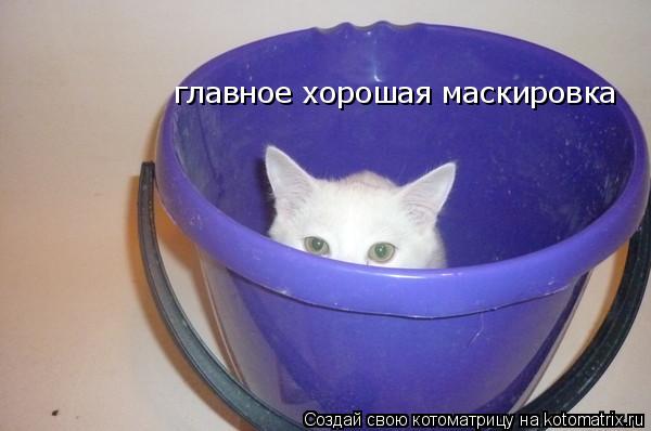 Котоматрица: главное хорошая маскировка