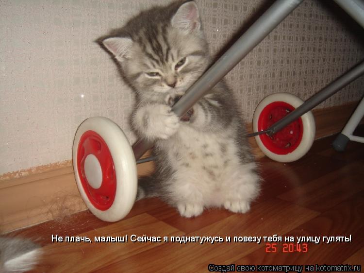 Котоматрица: Не плачь, малыш! Сейчас я поднатужусь и повезу тебя на улицу гулять!