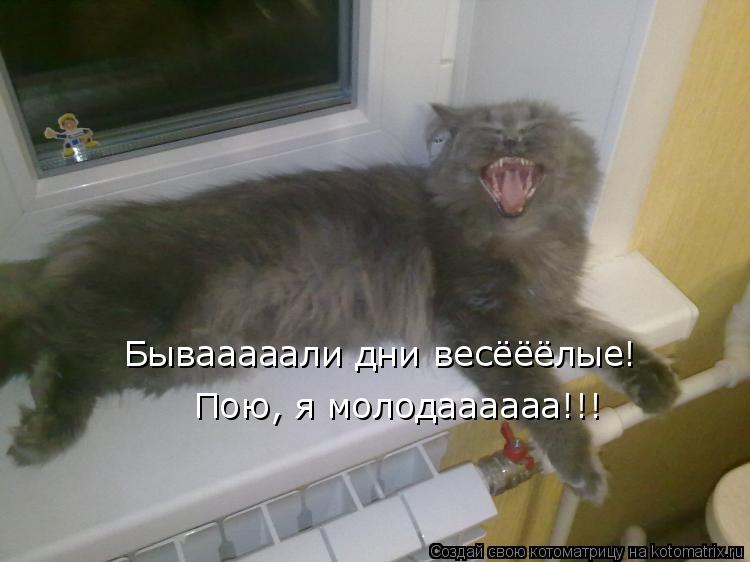 Котоматрица: Бывааааали дни весёёёлые!  Пою, я молодаааааа!!!