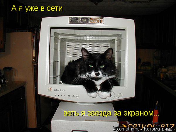 Котоматрица: А я уже в сети веть я звезда за экраном...