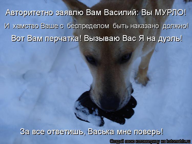 И хамство Ваше с беспределом быть наказано должно! Авторитетно заявлю Вам Василий: Вы МУРЛО! Вот ... Котоматрица: И хамство Ваше с беспределом быть наказано должно! Авторитетно заявлю Вам Василий: Вы МУРЛО! Вот Вам перчатка! Вызываю Вас Я на дуэль! «За