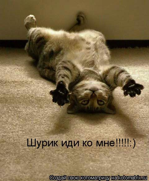 Шурик иди ко мне!!!!!:)... Котоматрица: Шурик иди ко мне!!!!!:)