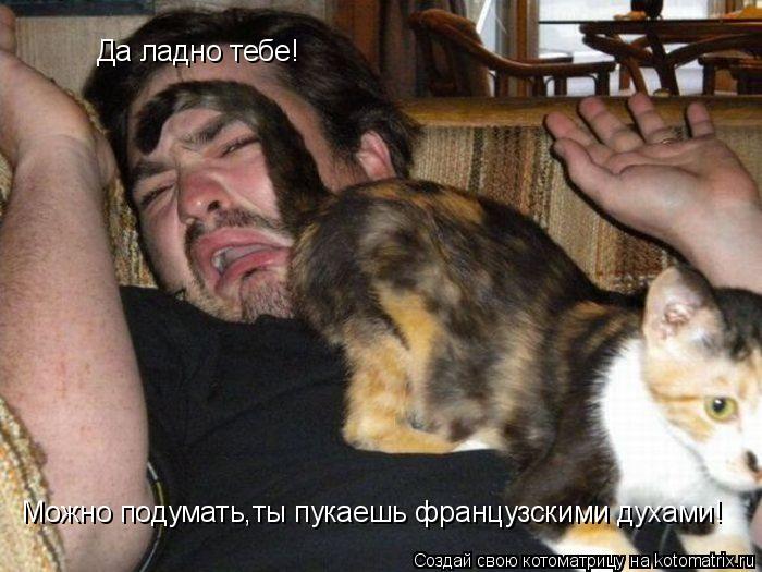 Да ладно тебе! Можно подумать,ты пукаешь французскими духами!... Котоматрица: Да ладно тебе! Можно подумать,ты пукаешь французскими духами!