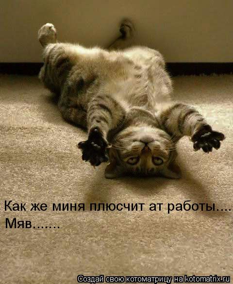 Как же миня плюсчит ат работы.... Мяв.......... Котоматрица: Как же миня плюсчит ат работы.... Мяв.......