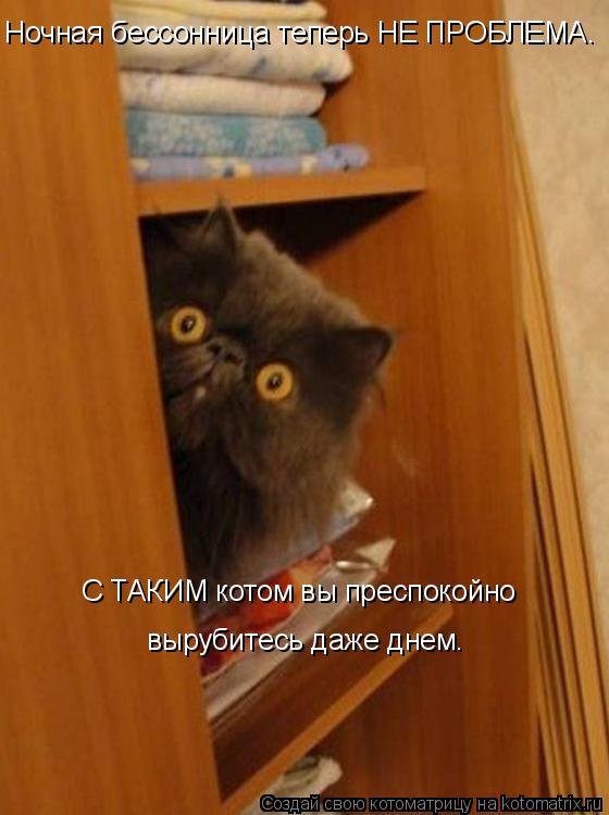 Ночная бессонница теперь НЕ ПРОБЛЕМА. С ТАКИМ котом вы преспокойно вырубитесь даже днем.... Котоматрица: Ночная бессонница теперь НЕ ПРОБЛЕМА. С ТАКИМ котом вы преспокойно вырубитесь даже днем.