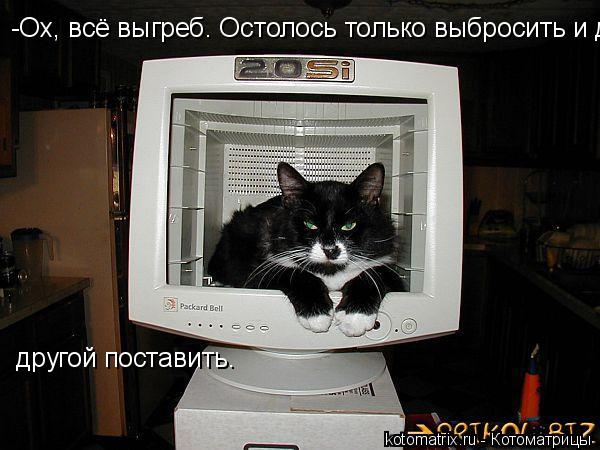 -Ох, всё выгреб. Остолось только выбросить и другой поставить. другой поставить.... Котоматрица: -Ох, всё выгреб. Остолось только выбросить и другой поставить. другой поставить.