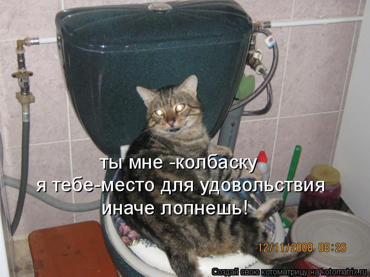 Котоматрица: ты мне -колбаску я тебе-место для удовольствия иначе лопнешь!
